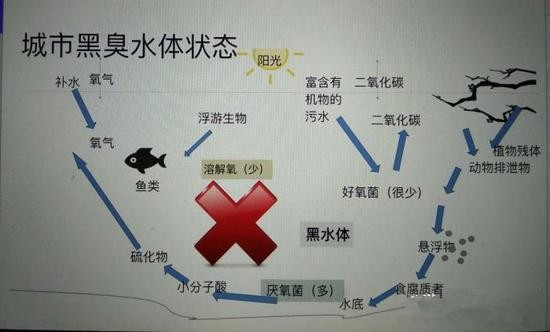 江蘇億元投資治污新技術(shù) 石墨烯能否治理黑臭水體？