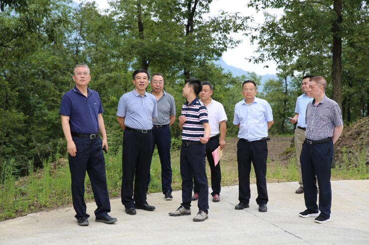 中國能建總經(jīng)理、黨委副書記孫洪水一行赴陜西鎮(zhèn)巴縣調(diào)研定點扶貧工作