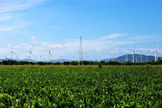 收購(gòu)墨西哥818MW光伏電站，國(guó)家電投境外光伏電站裝機(jī)超6GW