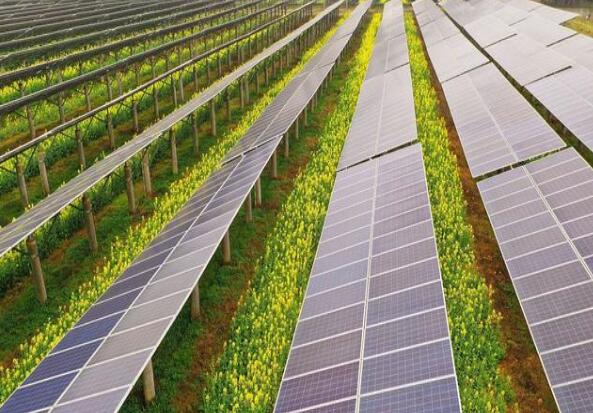 廣東清遠(yuǎn)建設(shè)小型農(nóng)光互補(bǔ)光伏發(fā)電站，工程總投資1.5億元