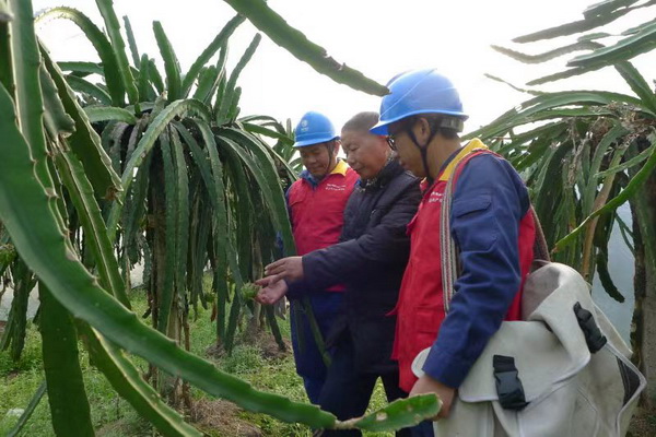 國網(wǎng)寧?？h供電公司：“電力紅馬甲”護航，退役軍人鄉(xiāng)村創(chuàng)業(yè)“紅如火”