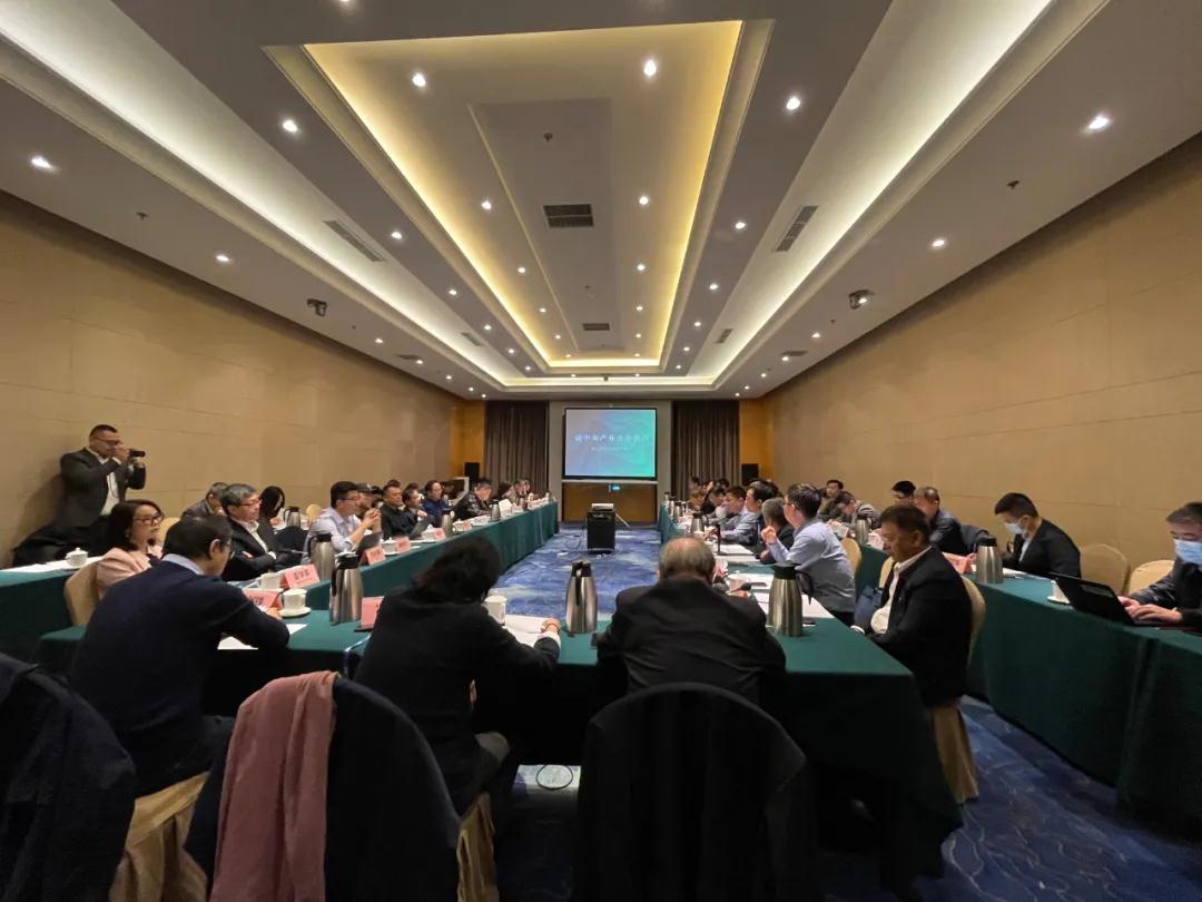 視全局、促合作，碳中和產(chǎn)業(yè)合作組織籌備會(huì)在京召開(kāi)