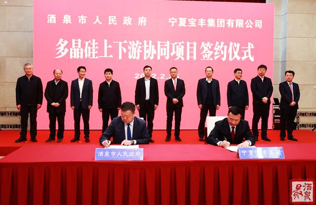 寶豐集團(tuán)擬在寧夏建設(shè)35萬噸工業(yè)硅、30萬噸多晶硅、50GW拉晶切片、30GW電池組件