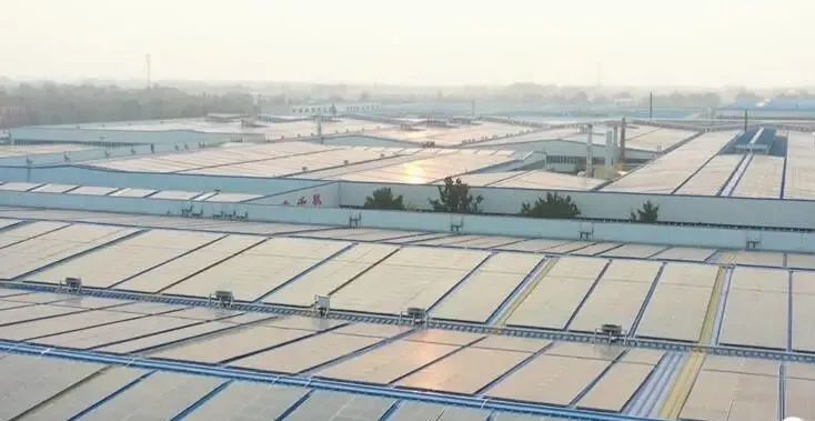 投資達(dá)9億！山東寒亭區(qū)447MW整縣分布式光伏項(xiàng)目正式啟動