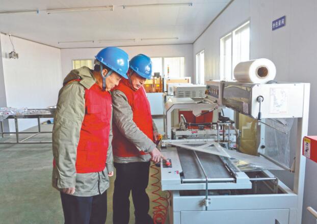 濱?？h供電公司：白首烏產(chǎn)業(yè)發(fā)展充上“滿格電”