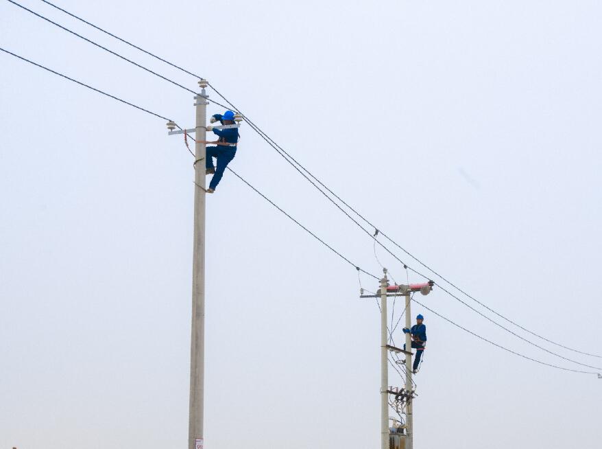 阿拉善供電公司：電網(wǎng)健康“體檢”，從登桿開始