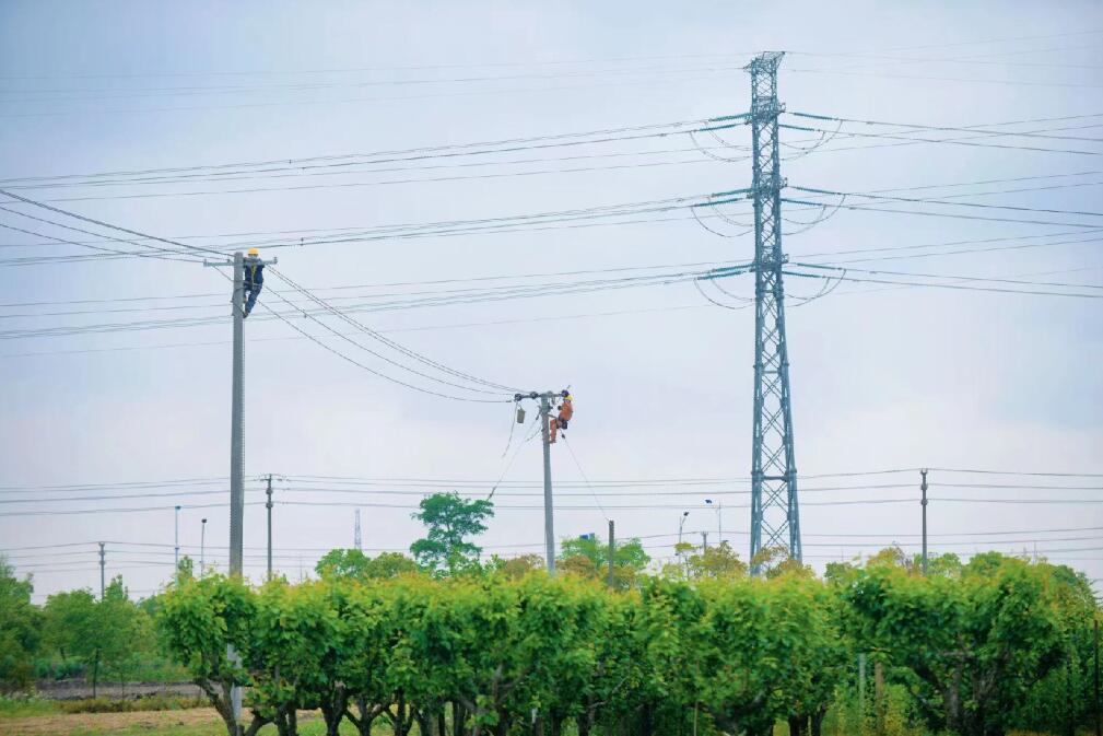 國(guó)網(wǎng)余姚市供電公司:小小榨菜頭 振興大產(chǎn)業(yè)