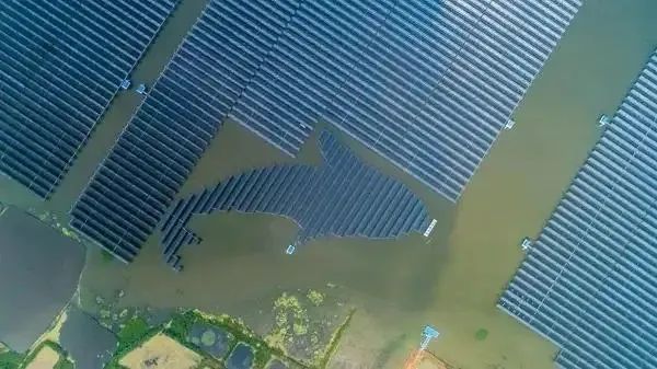 泗洪1000MW光伏領(lǐng)跑者項目被勒令拆除整改！