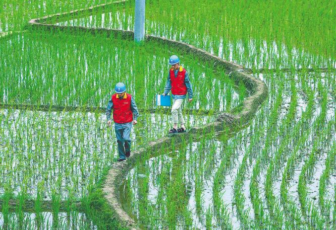 國家電網(wǎng)公司：全力以赴做好抗疫保供電，持續(xù)優(yōu)化電力營商環(huán)境