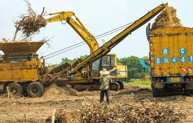 海南省?？诙嗯e措推進秸稈等農(nóng)林廢棄物綜合利用