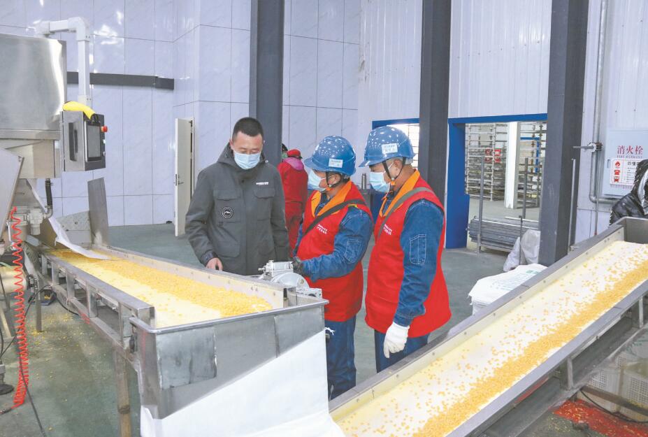 國家電網(wǎng)黑龍江電力(齊齊哈爾)共產黨員服務隊當好“大糧倉”的 電力守護人