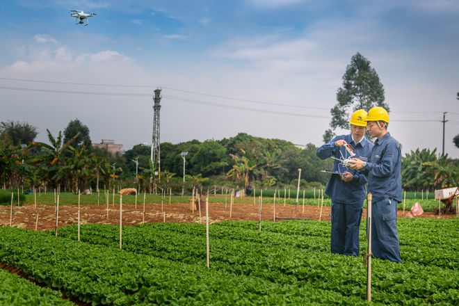 東莞供電局不誤農時不負春，“零距離”服務春耕