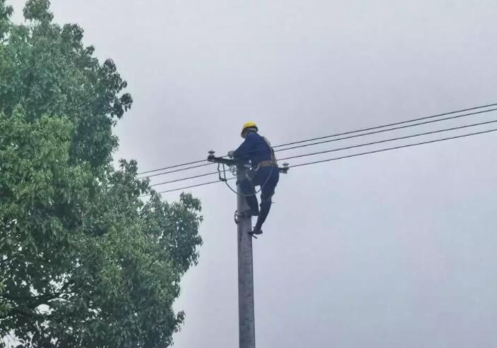 國(guó)網(wǎng)湘潭供電公司:黨員服務(wù)進(jìn)田間 糧田春灌“電力足”