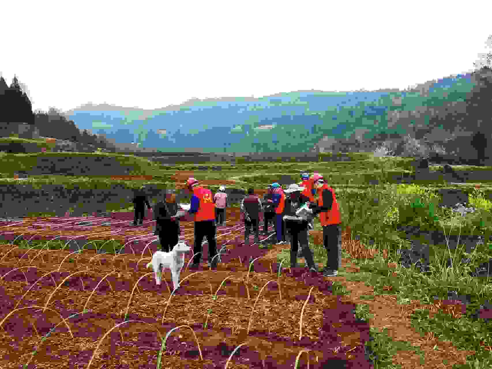 國網(wǎng)巴中供電公司:服務(wù)送上門 春灌電力足