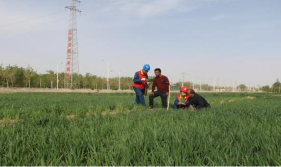 新疆皮山縣供電公司:電力有保障 服務到田間