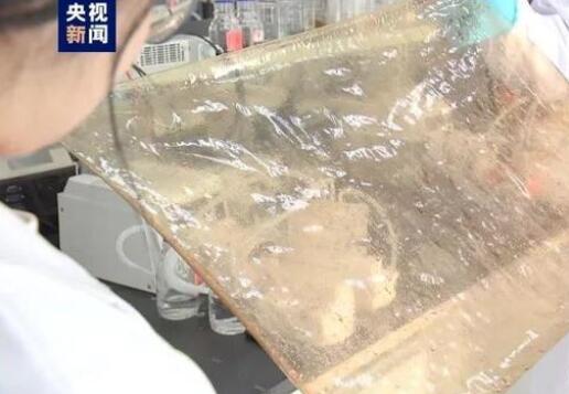 國產(chǎn)新型離子膜問世，有望在新能源的儲能領域廣泛應用