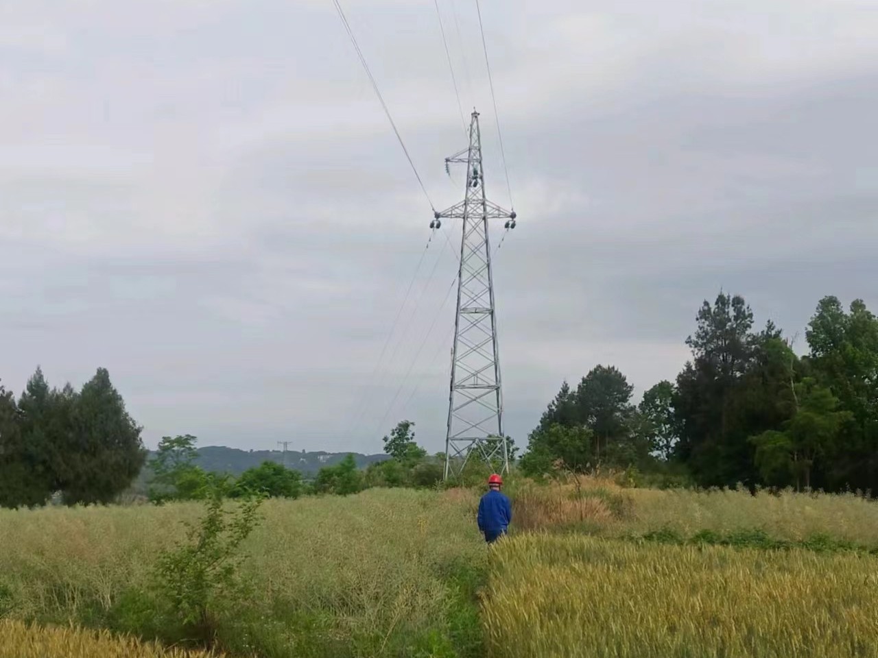 國網巴中供電公司加強特巡 保障汛期電網安全穩(wěn)定運行