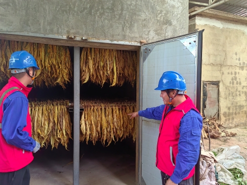 國(guó)網(wǎng)會(huì)理市供電公司:金葉飄香“趕烤”忙 優(yōu)質(zhì)服務(wù)助增收