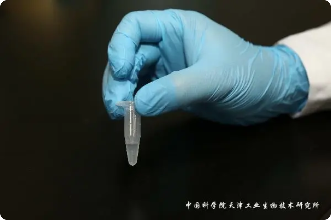 二氧化碳“變身”糖，中國(guó)科學(xué)家實(shí)現(xiàn)重大突破!