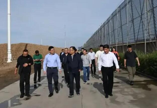 內(nèi)蒙古專項督查組蒞臨龍基生物質(zhì)熱電項目考察，助力鄉(xiāng)村振興發(fā)展