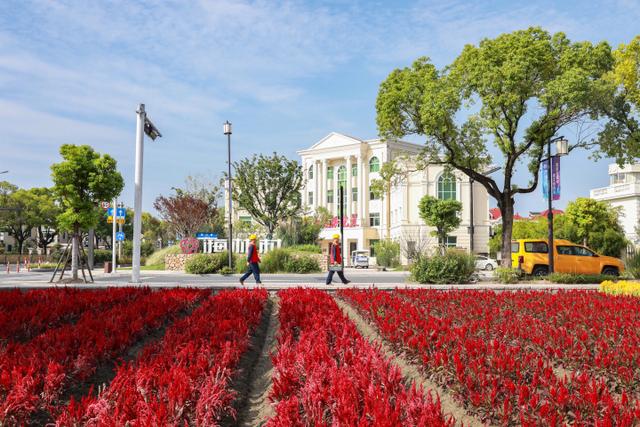 “電靚”和美鄉(xiāng)村，過去20年，杭州電力做了什么