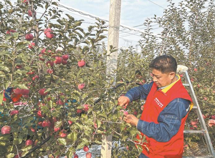 陜西延安供電公司助力地方高質量發(fā)展