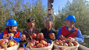 國網(wǎng)鹽源縣供電公司:“電管家”助力糖心蘋果豐收