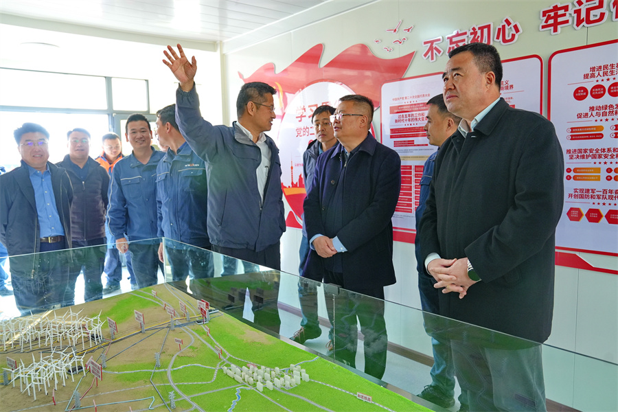 中廣核集團(tuán)一行領(lǐng)導(dǎo)赴若羌調(diào)研若羌1000MW風(fēng)電工程項目