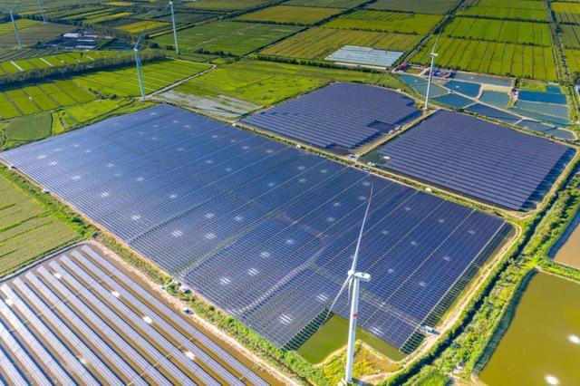 中國“雙碳”之路，要怎么走?