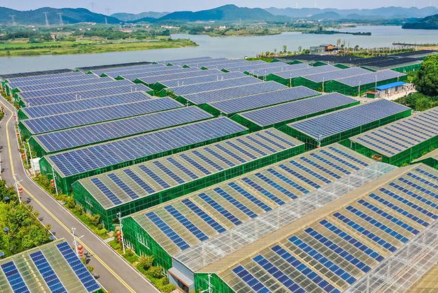 運(yùn)鴻集團(tuán)攜手光伏清潔能源，開啟綠色產(chǎn)業(yè)新篇章