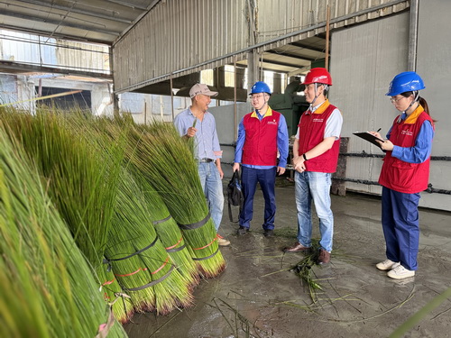 國(guó)網(wǎng)寧波供電公司海曙供電分公司:守護(hù)綠色“草”經(jīng)濟(jì) 電力服務(wù)跑出鄉(xiāng)村振興加速度