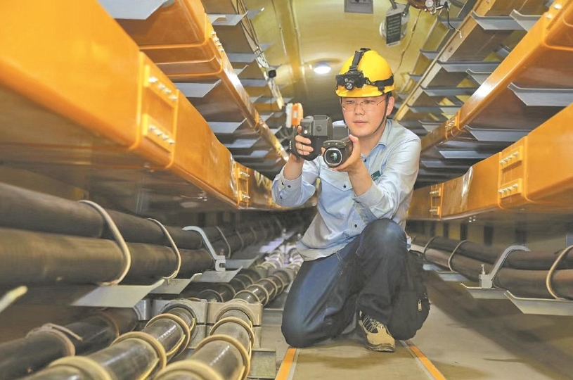 董力文：向下扎根，向上生長(zhǎng)