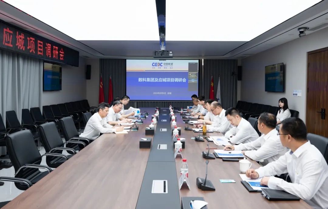 中國(guó)能建黨委副書(shū)記、總經(jīng)理倪真調(diào)研湖北應(yīng)城300兆瓦壓氣儲(chǔ)能項(xiàng)目