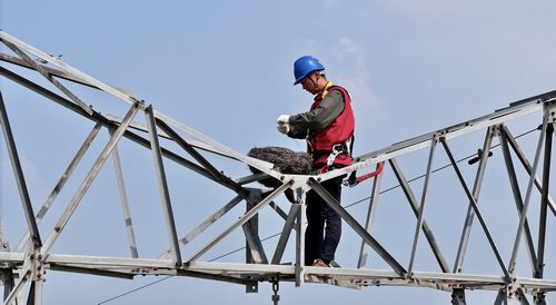 國網(wǎng)商丘供電公司:愛鳥護線 奏響和諧曲