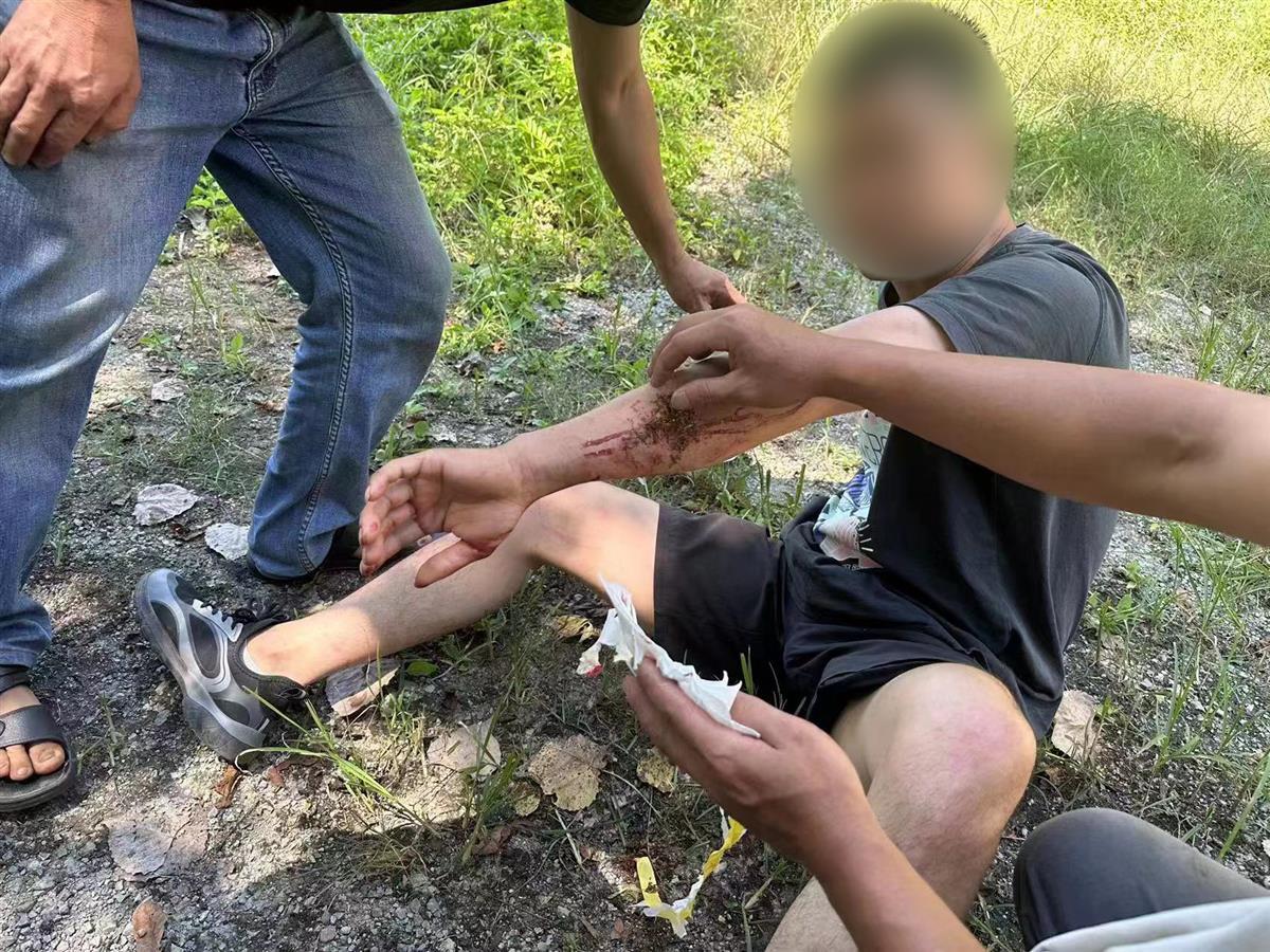 男子私設(shè)電網(wǎng)30余米，沒捕獲獵物卻電傷路人被刑拘