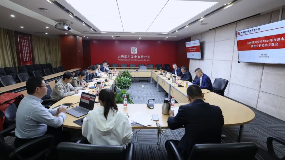 大唐四川發(fā)電公司組織召開(kāi)2024年度洪水調(diào)度分析專(zhuān)題會(huì)