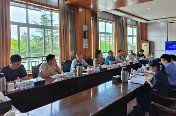 “氫”裝上陣，自貢市加快推動氫能全產(chǎn)業(yè)鏈發(fā)展