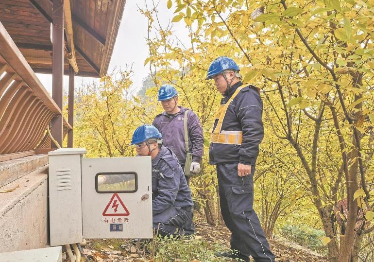 重慶北碚:蠟梅朵朵開 幸福生活來(lái)