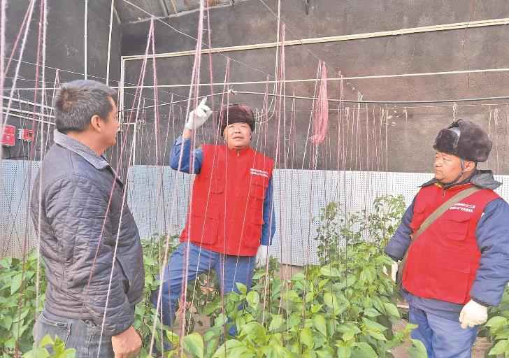 青海循化撒拉族自治縣大棚變智能，果蔬產量增