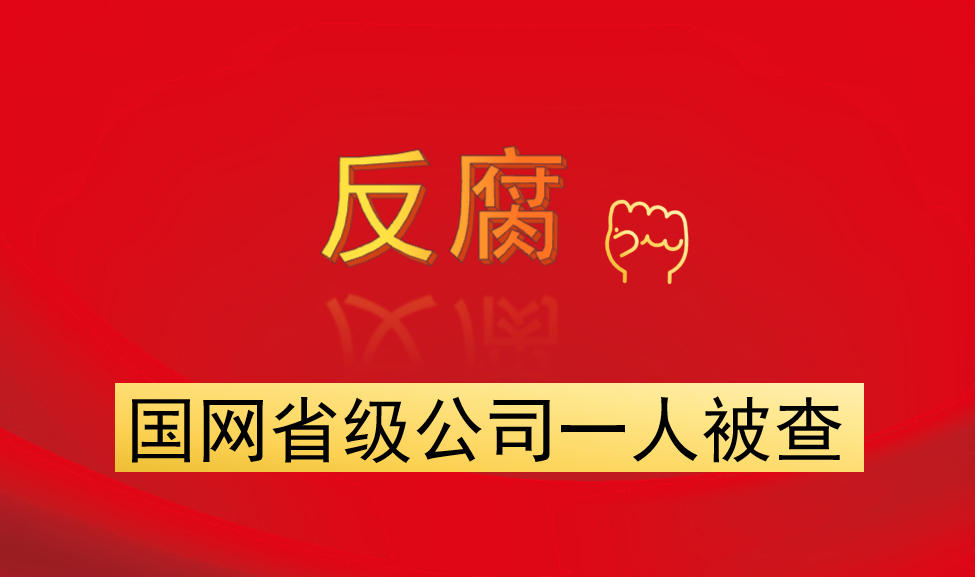 國(guó)網(wǎng)省級(jí)公司一人被查